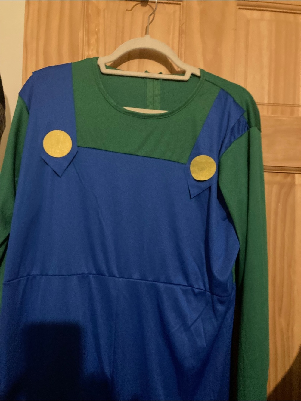 Super Mario Bros adult Luigi cosplay/costume - Picture 5 of 9